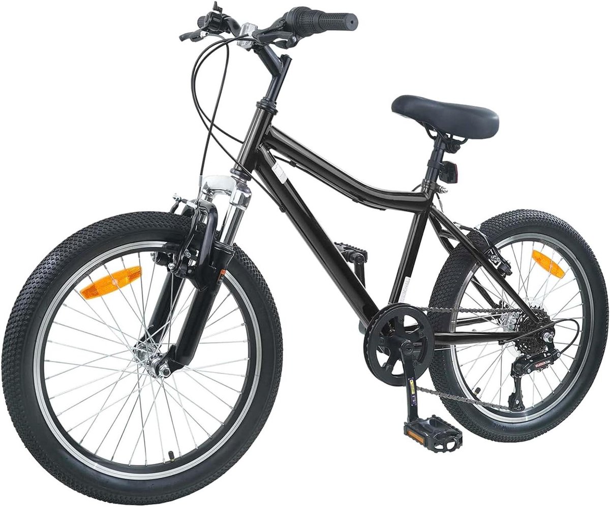 Kinderfiets sfiets sfiets Fietstraining en Ontspanning Robuust Stalen Frame 20 inch Zwart