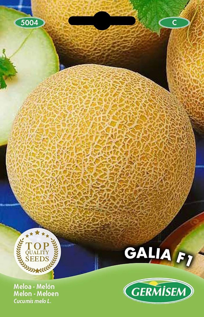 SnelShoppen - Galia F1 Meloenzaad 0.5 g - Zoete en Geurige Meloen voor Thuis Tuinieren - Eenvoudig Te Kweken in Potten bij 20°C - Perfect voor Tuin en