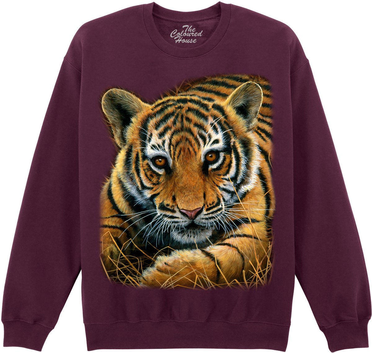 Tijger Welpje Tiger Cub The Coloured House Sweater 3XL