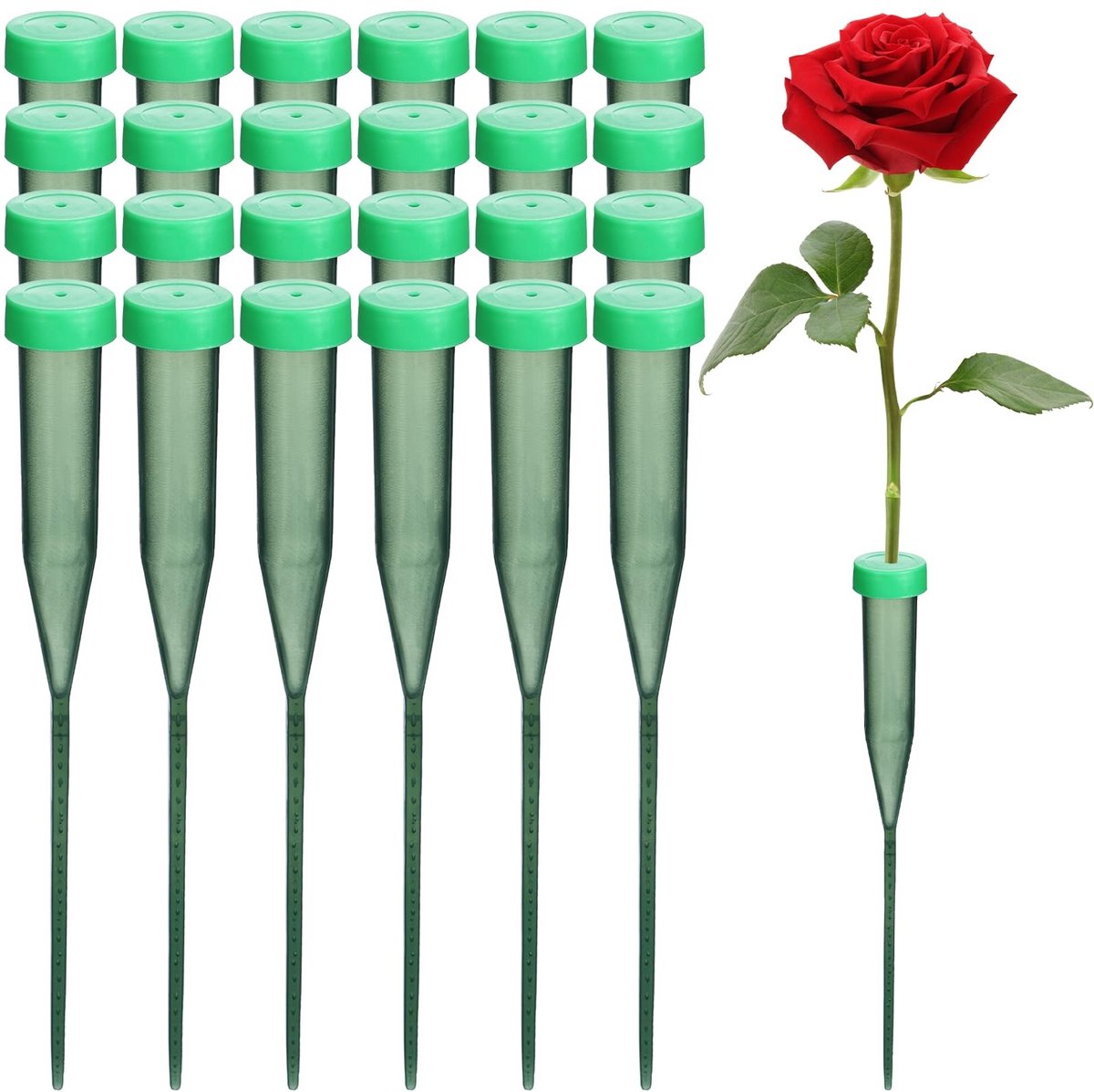 Solidchoice - 25 Stuks Bloemenwaterbuisjes voor Creatieve Projecten
