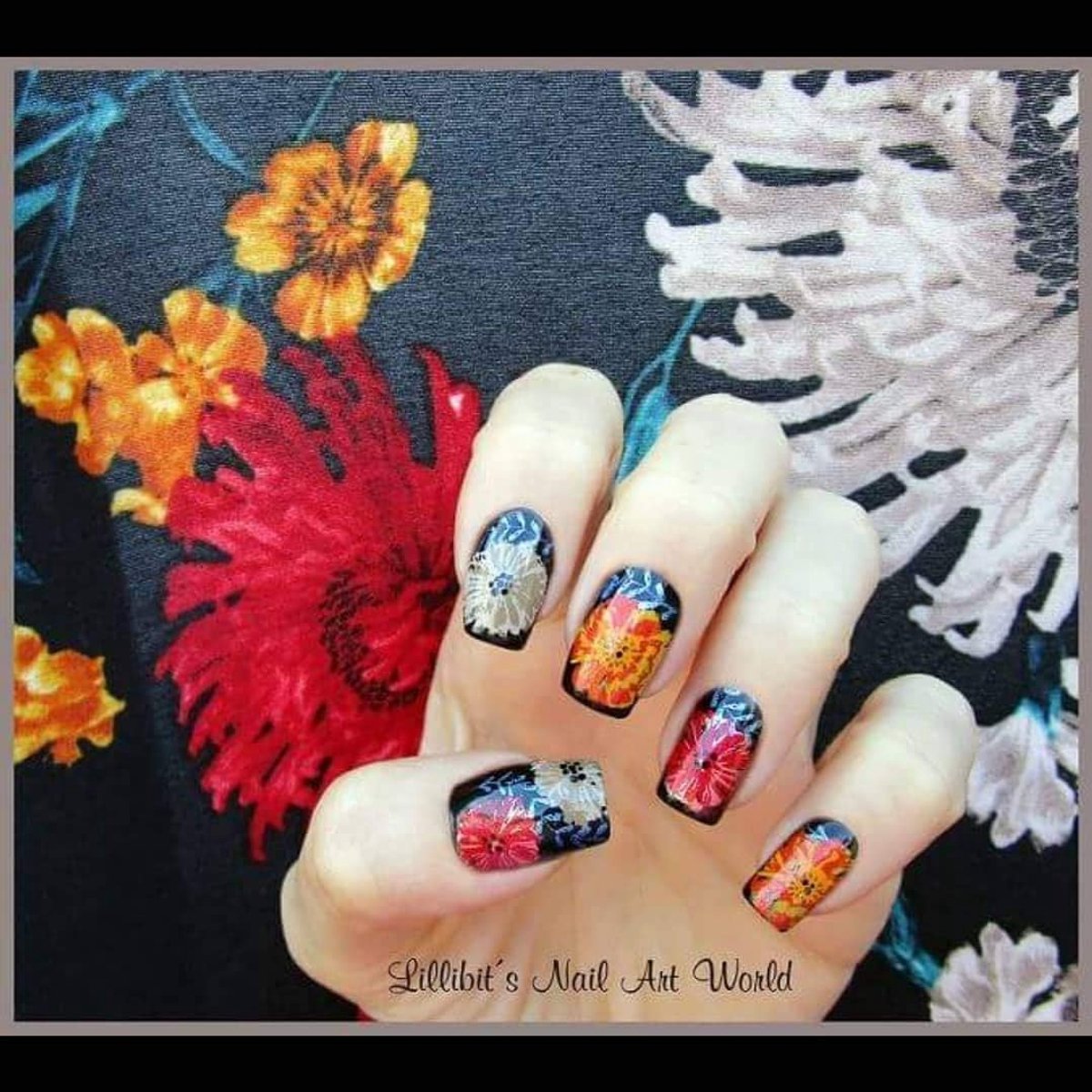 Nail Art Stamping Plate - Chrysanthemum Sterren Thema - Roestvrij staal - Unieke manicure ervaring - ShopVlot