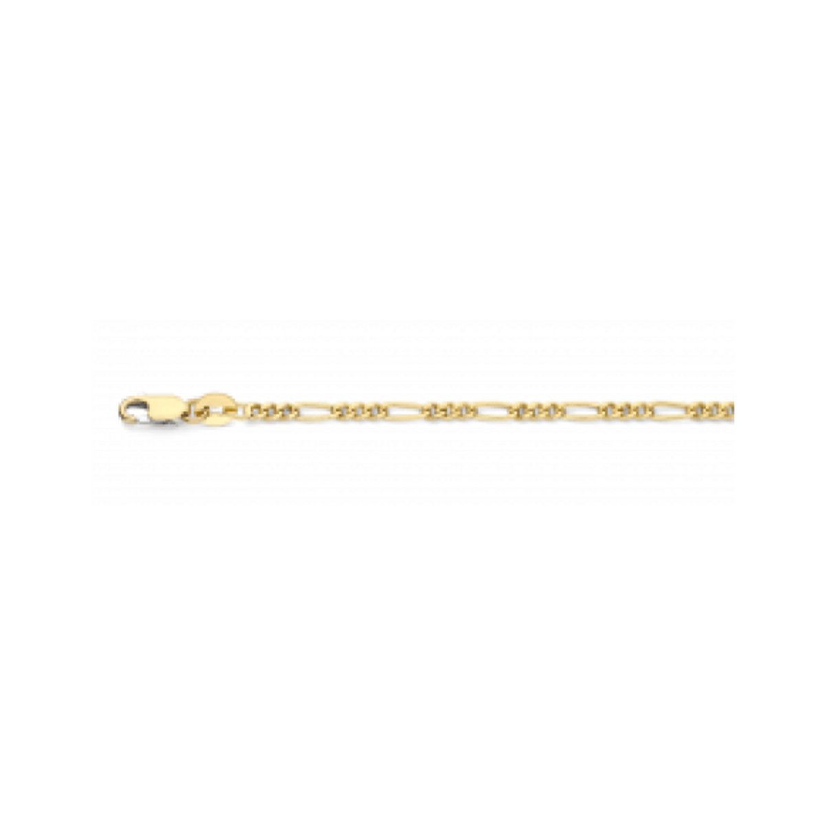 Fjory Ketting 40-F02,350 14 Karaat Goud 50