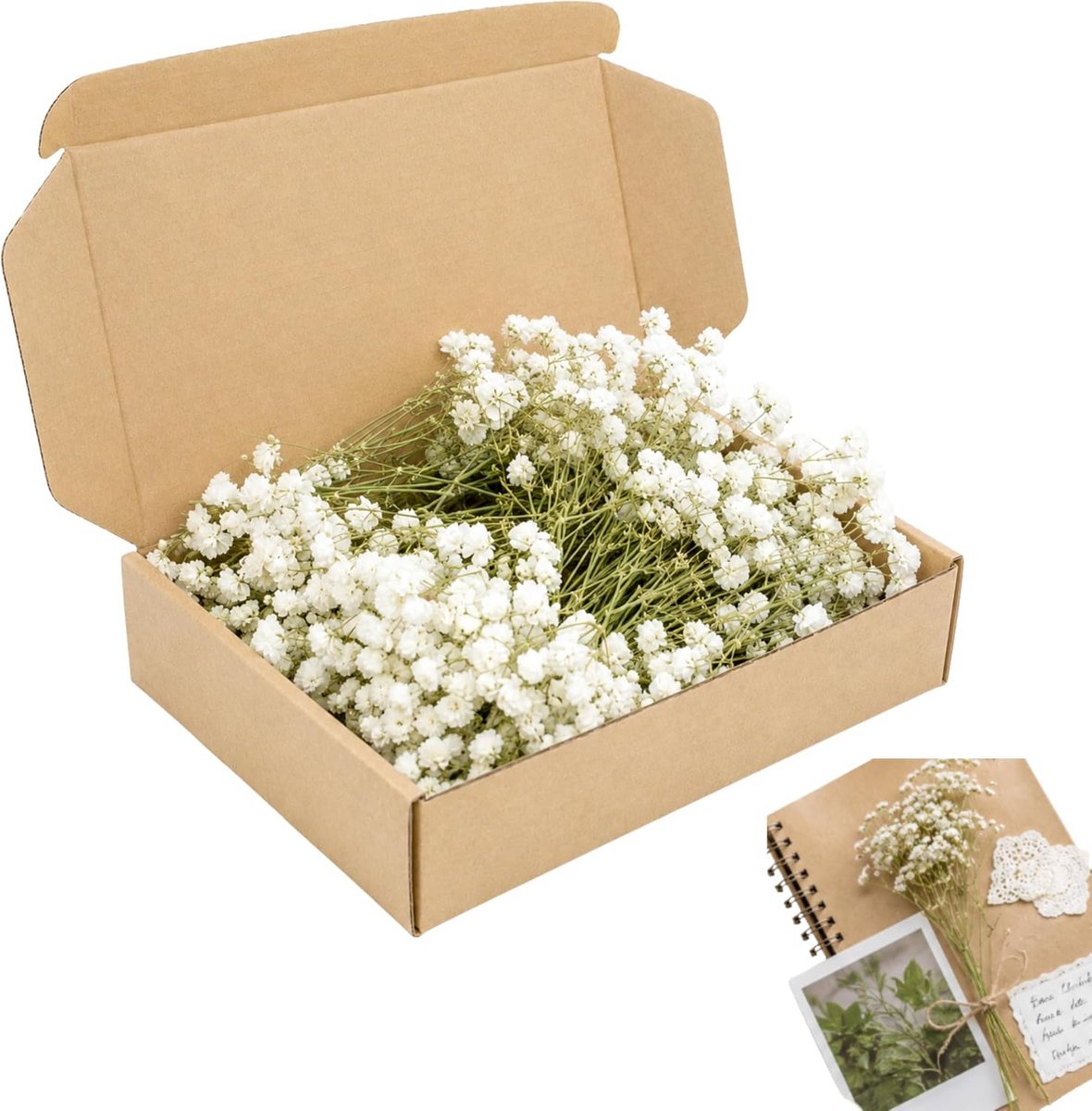 gedroogde gipskruid 120 stuks - echte bloemen - wit - ideaal voor knutselen - ShopVlot
