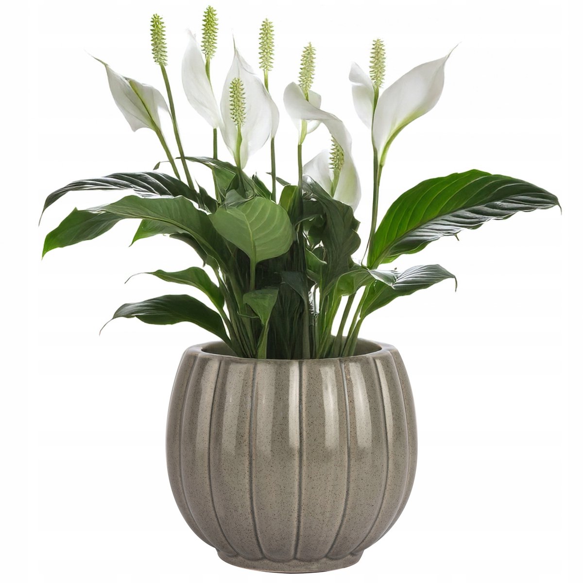 Grijze Keramische Pot met Glans - 13cm - Stijlvolle Binnenplantenpot