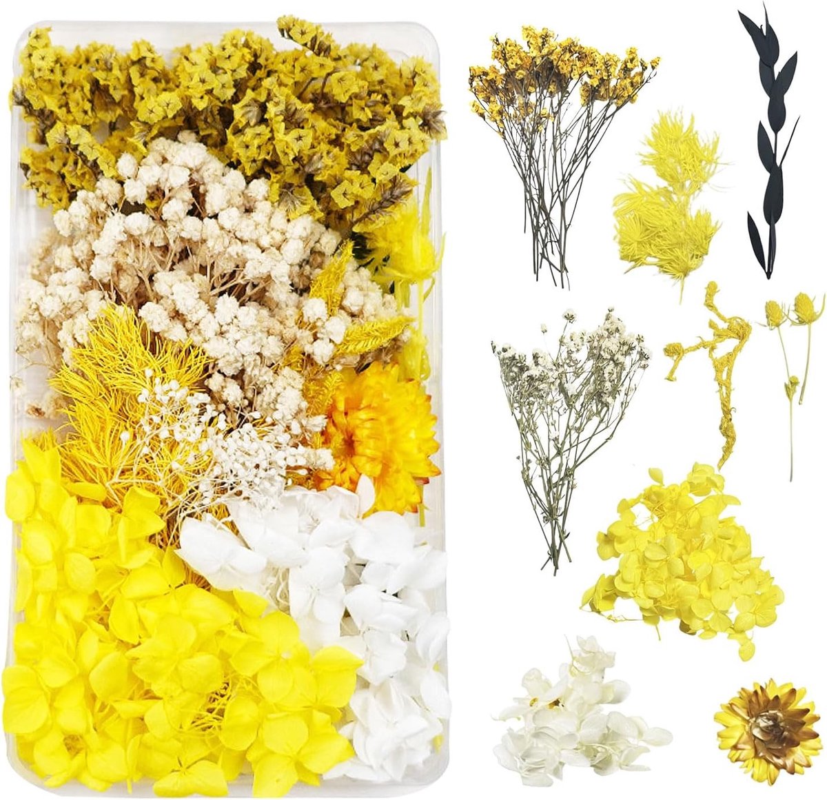Natuurlijke Gedroogde Bloemen voor Decoratie en DIY Projecten - Geschikt voor Kaarsen, Scrapbooking en Creatief Knutselen (Geel)