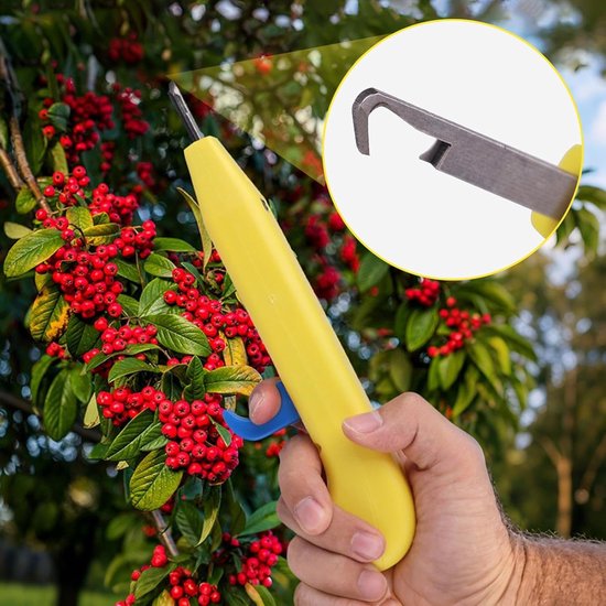Snoeischaren Tuin - Handmatige Trimmer Snoeier - Takken Snoeien - Gebogen Kop Ontwerp - Niet Gespecificeerd - Niet Gespecificeerd — afbeelding 3