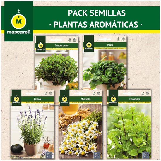 Omgoods - Aromatische Planten Zaadpakket - Bevat Munt, Kamille, Lavendel, Citroenmelisse en Oregano