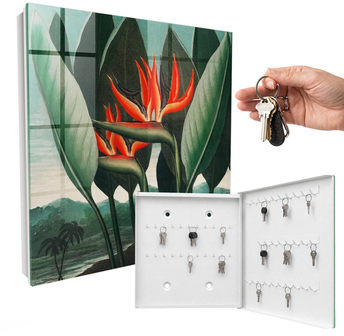WallMuralia - Sleutelkast - 30x30x5 cm - met 50 haken - Het Exotische Van De Natuur Sleutelkastje Modern - Groente Sleutelbox - Rechtsopenend - Wit interieur