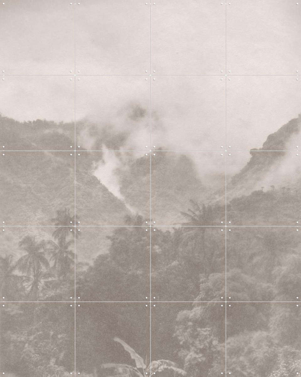 IXXI Jungle Brouillard, Florent Bodart - 80 x 100 cm - Gratis ophangtool - Grote wanddecoratie en posters - Fotografie, Studeerkamer, Woonkamer, Gang