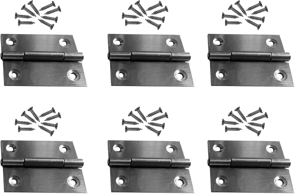 Set van 6 scharniertjes (maat 3: 38x50 mm, roestvrij staal)