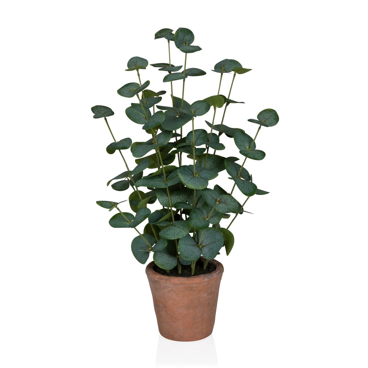 hjh office Kunstplant / potplant EUCALYPTUS BONSAI 46 cm kunststof groen hjh OFFICE