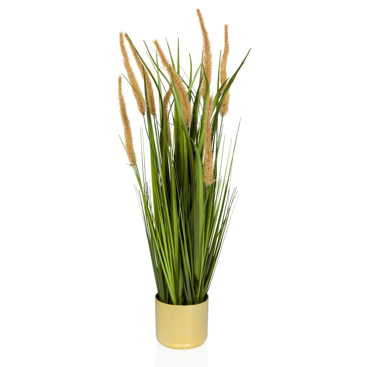 hjh office Kunstplant CORTADERIA I Beige/Groen hjh OFFICE