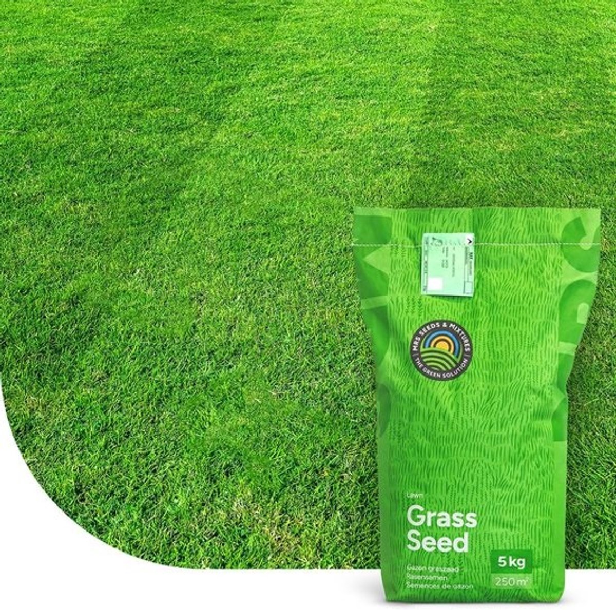 Onderhoudsarm Graszaad - Gazonmengsel - Dicht Gazon - Robotmaaier Geschikt - 1 kg 50 m²