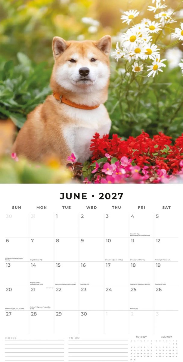 Shiba Inu Kalender 2027