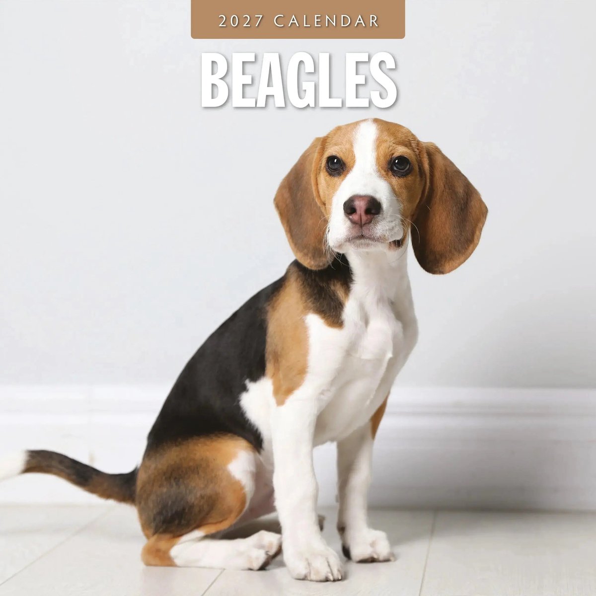 Beagle Kalender 2027
