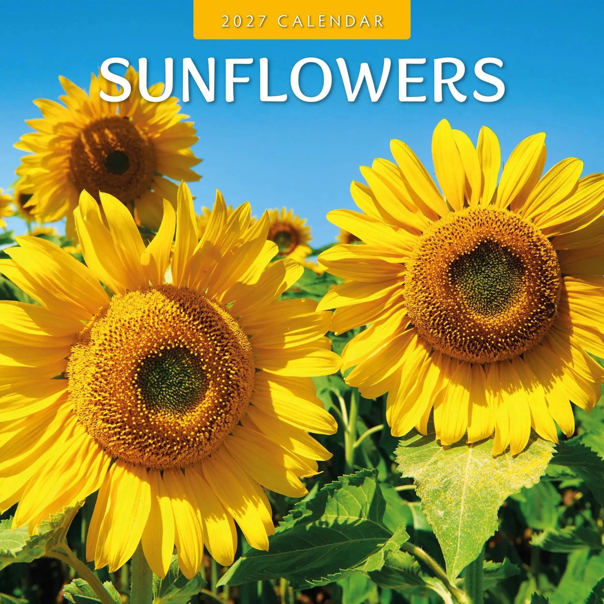 Sunflowers Kalender 2027
