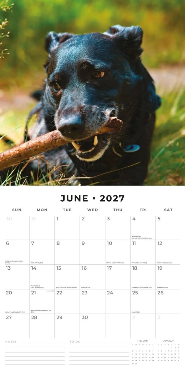 Patterdale Terrier Kalender 2027