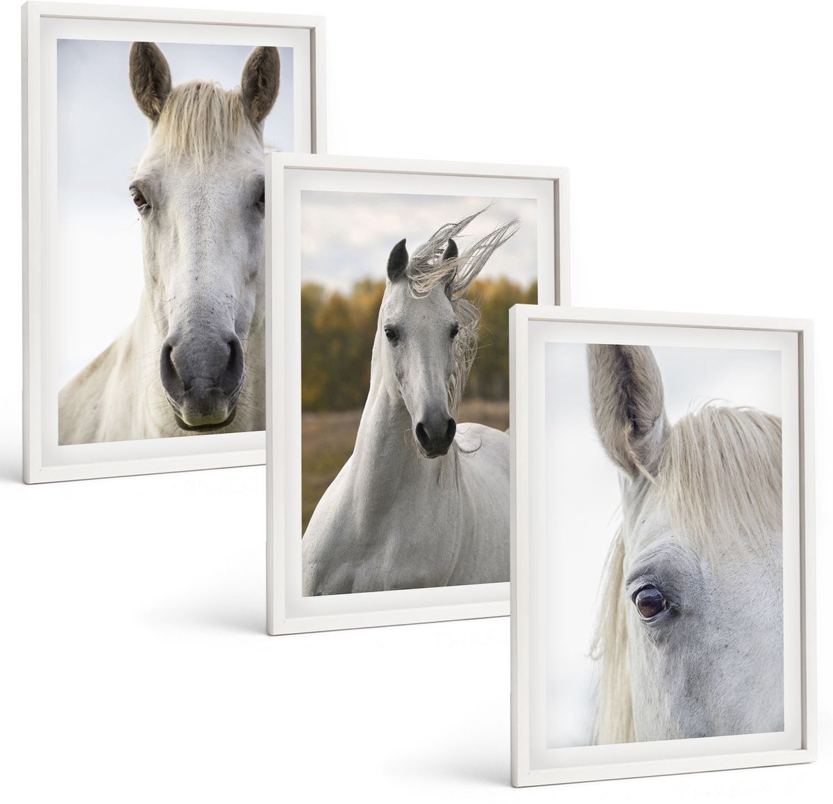Wallfluent 3-Delige Schilderij Set - Witte Paarden In Verschillende Houdingen Tegen Een Natuurlijke Achtergrond. - 40 x 60 - Muurdecoratie - Interieur Decoratie - Wanddecoratie
