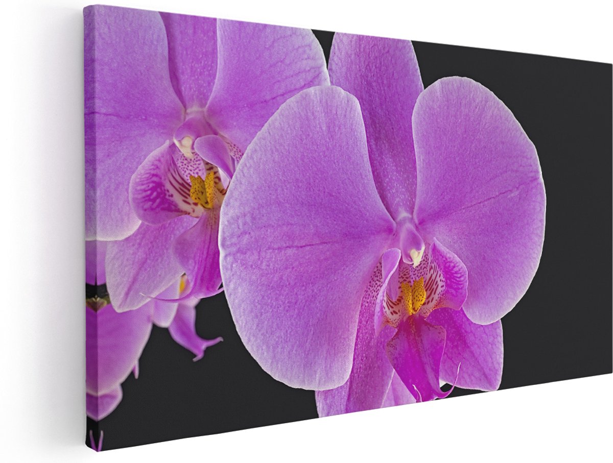 Artaza Canvas Schilderij Licht Paarse Orchidee - Bloem - 180x90 cm - Groot - Wanddecoratie Woonkamer - Schilderijen - Muurdecoratie