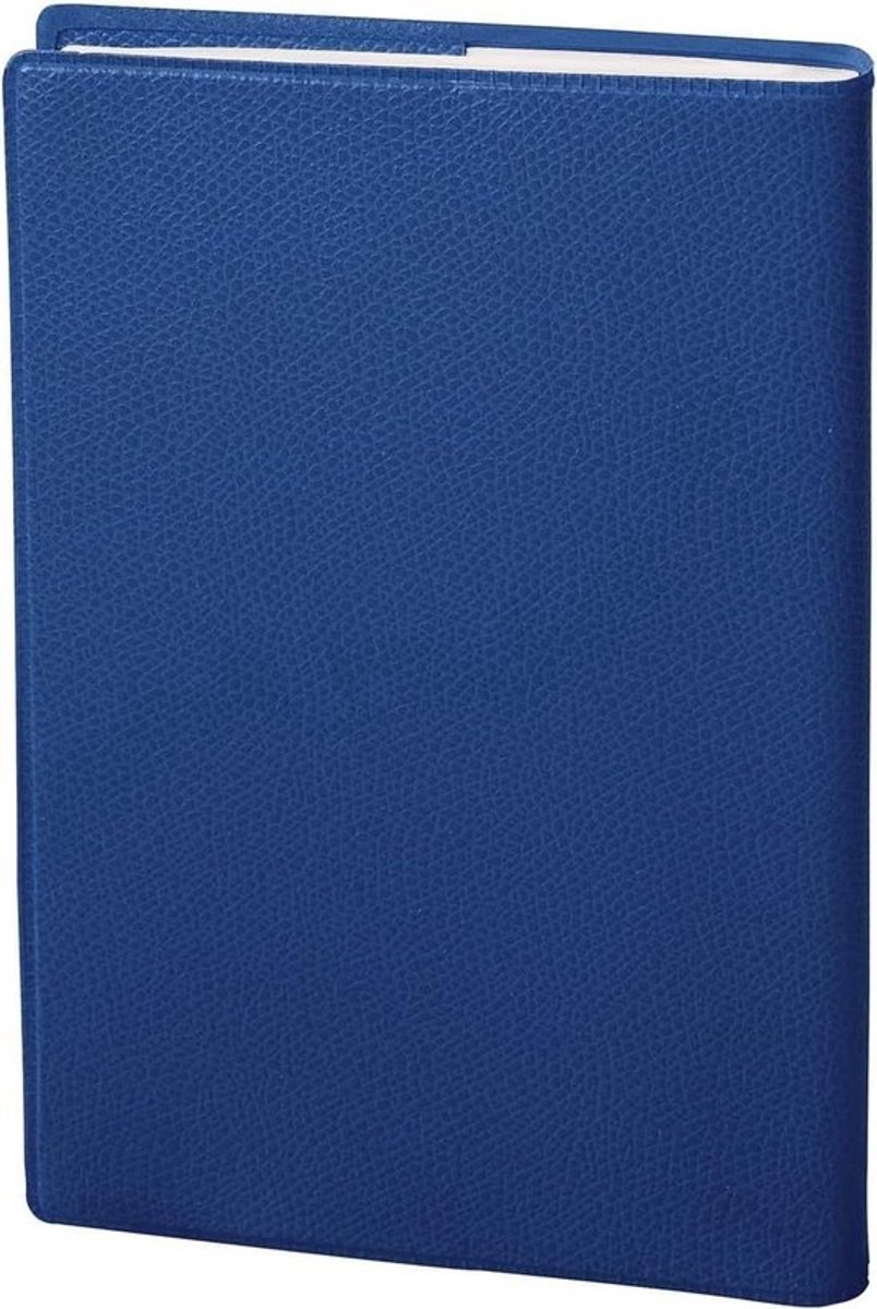 Universitaire Agenda - Studentenagenda Planner - Afspraken Plannen - 1 Week op 2 Pagina's - 10 x 15 cm - Blauw