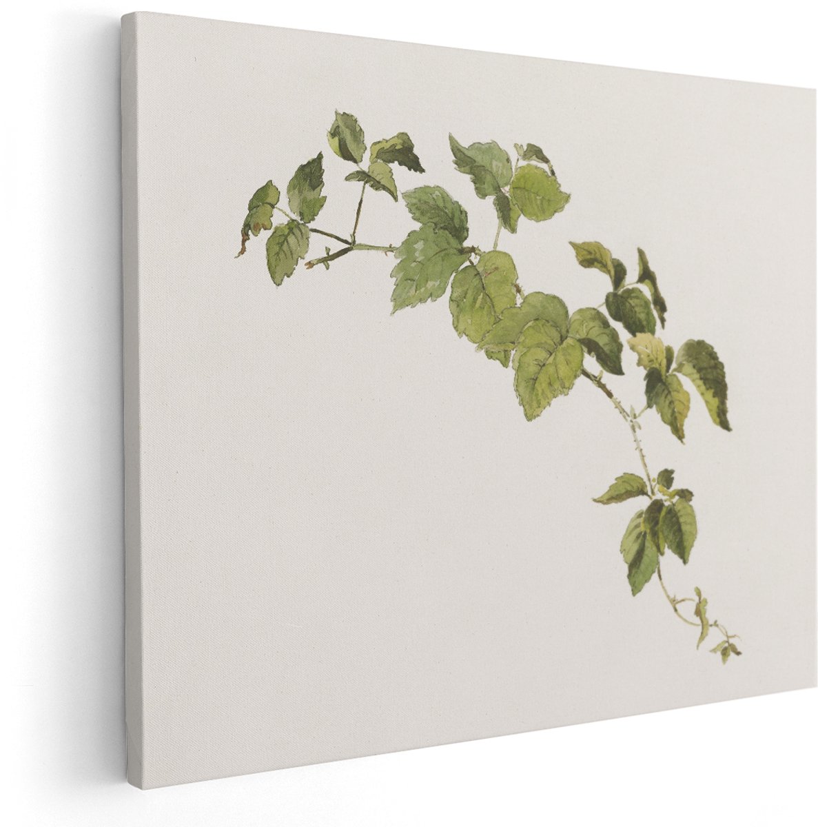 Artaza Canvas Schilderij Rozenbottel Tak - 150x120 cm - Groot - Wanddecoratie Botanisch - Muurdecoratie Vintage - Decoratie Groene Bladeren