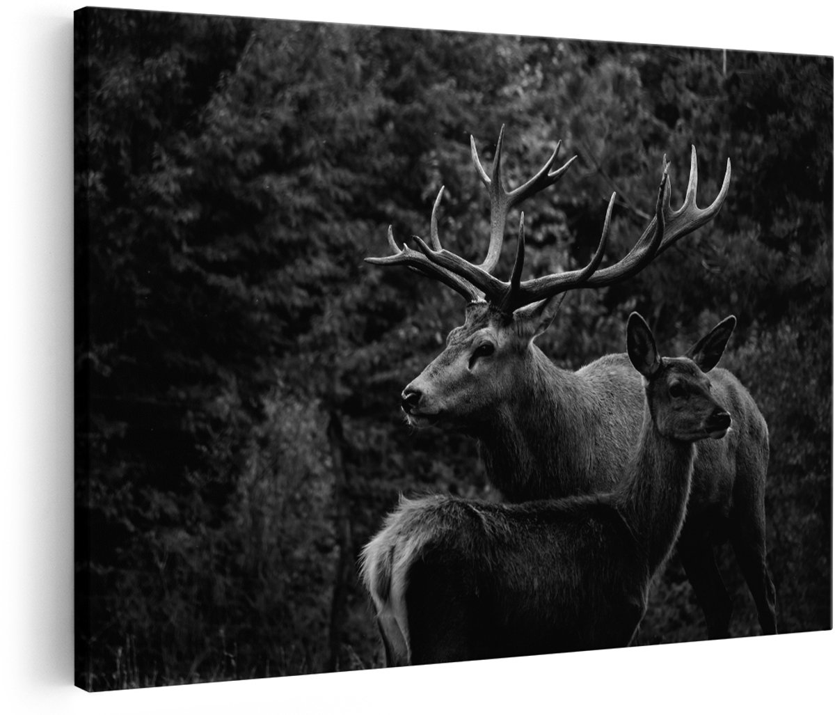 Artaza Canvas Schilderij Twee Herten in het Bos - Zwart Wit - 180x120 cm - Groot - Foto Op Canvas - Wanddecoratie Woonkamer