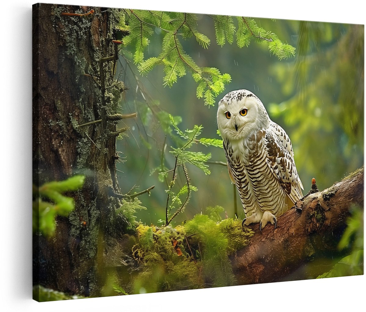 Artaza Canvas Schilderij Sneeuwuil op een Boomtak - Dieren - 180x120 cm - Groot - Wanddecoratie Woonkamer - Schilderijen - Muurdecoratie