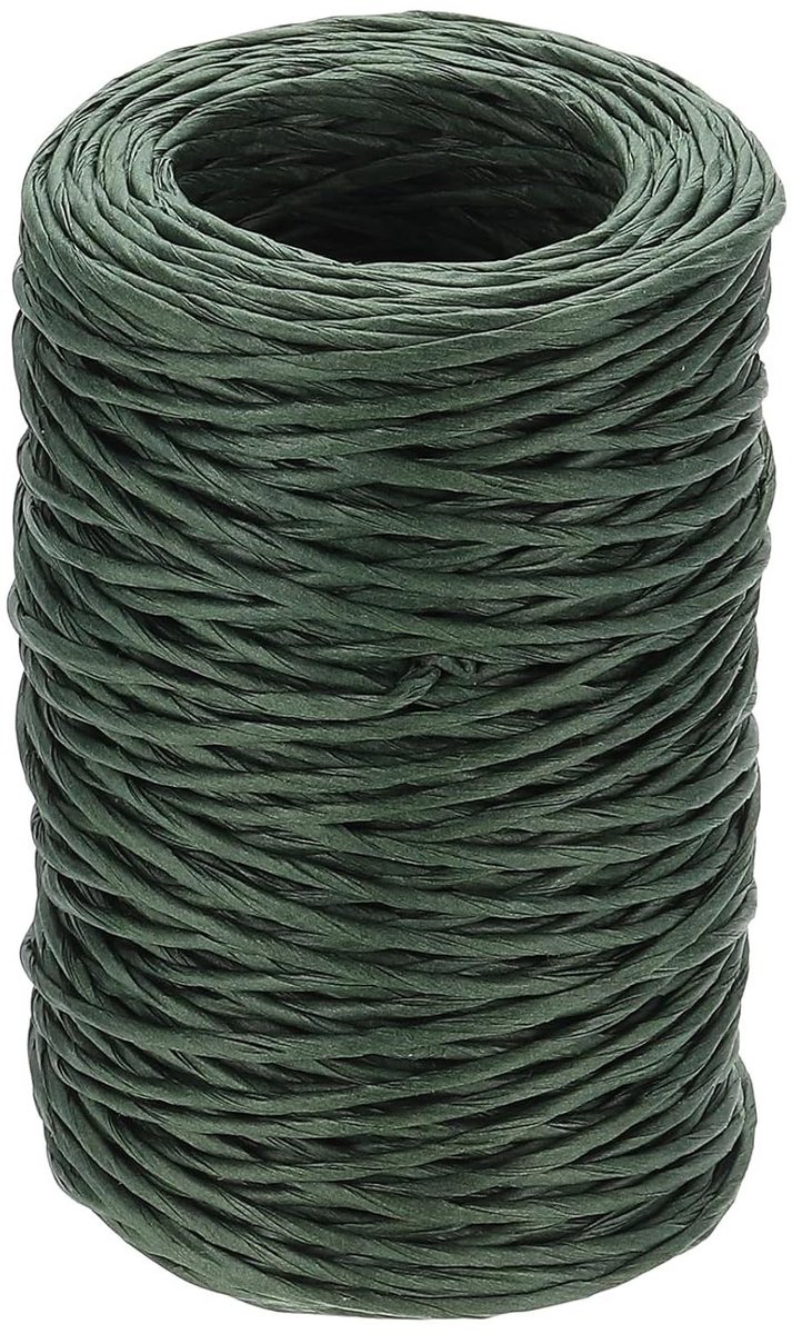 Bloemendraad - Bastdraad Rankdraad - Bloemstukken Maken - Papiervezel Omwikkeld - 50 Meter - Groen