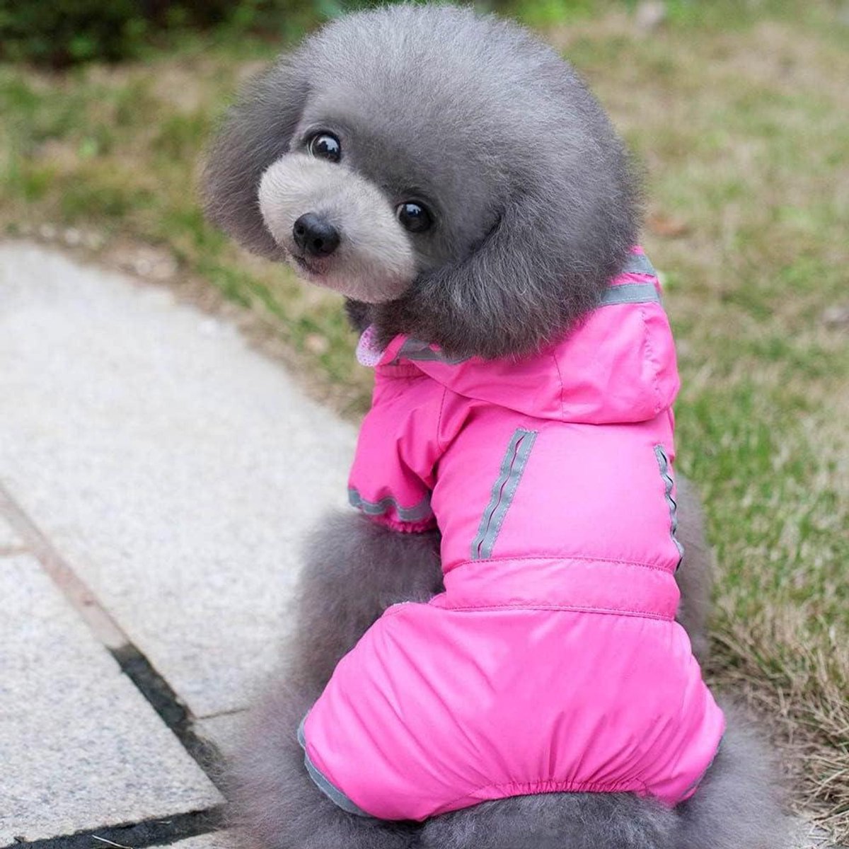 Honden Regenjas - Huisdier Jas - Buiten Wandelen - Waterdicht Ademend - Maat M - Roze