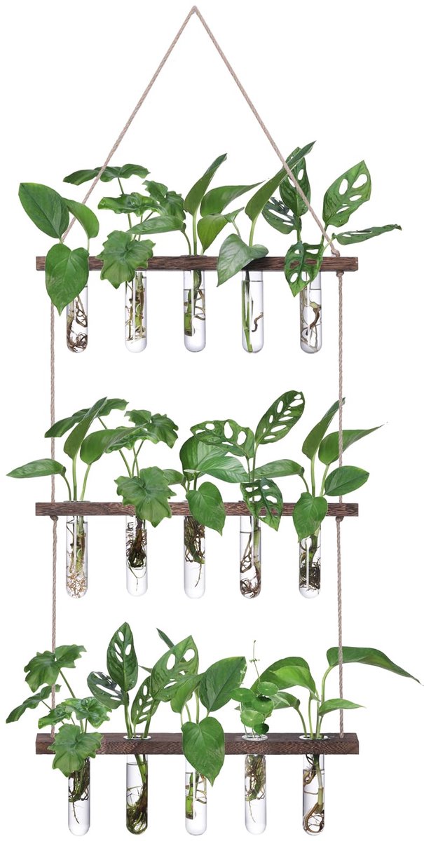 Dailygoods- Kweekstation met 3 gelaagde houten standaard - 15 reageerbuizen - Glazen plantenbakstations - Hydrocultuur plantensteun - Decoratie voor thuiskantoor - Stevig en robuust natuurhout - Plantenhouder