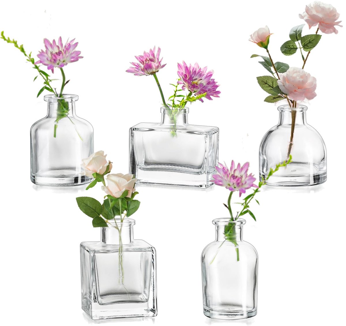 Dailygoods - Mini Glazen Vazen voor Bloemen - Set van 5 Assorted Vazen