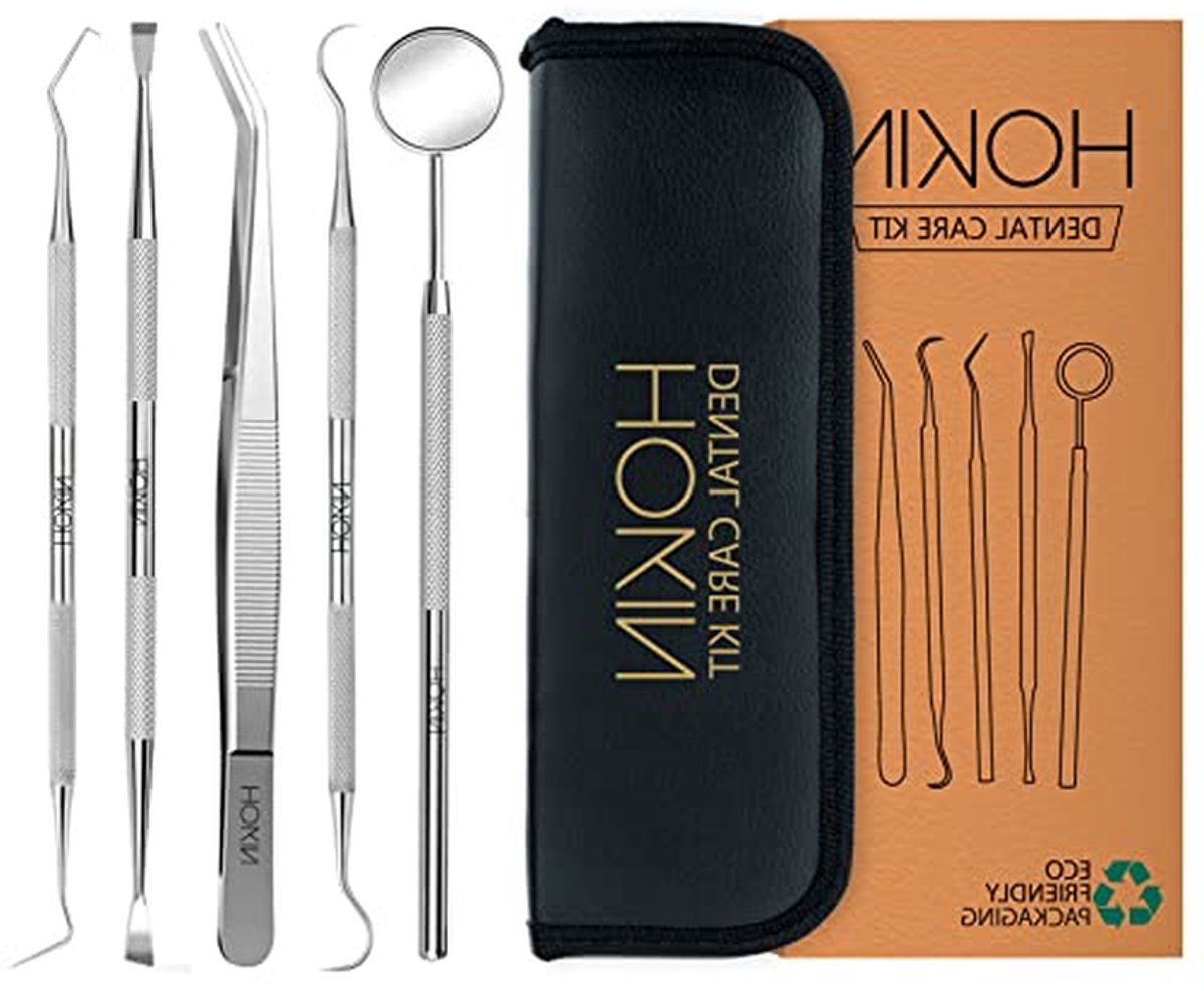 Tandenreinigingsgereedschap Set - Mondhygiëne Kit - Persoonlijke Mondzorg - Roestvrij Staal - 5 Delig - Zilverkleurig