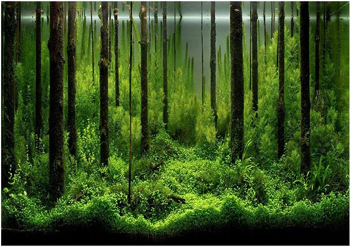 SnelShoppen - Fish Tank Poster PVC Onderwater Forest Achtergrond Zelfklevend Aquarium Decoratie 60x40 cm