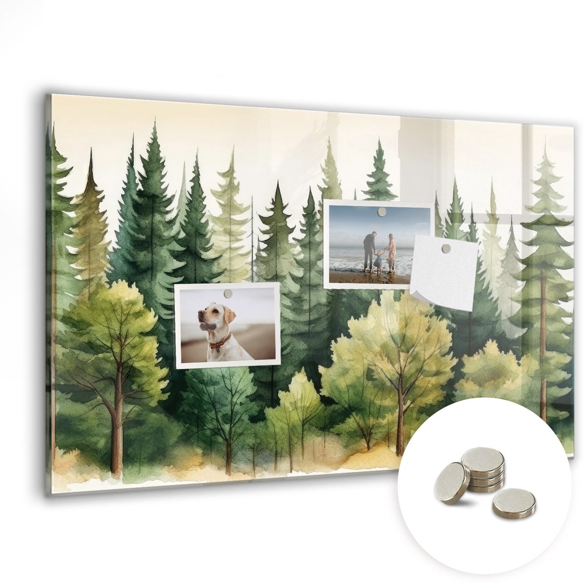 Coloray Glazen Magneetbord - Magnetisch Bord Boslandschap - 60x40 cm - Groente Magneetbord - Magnetic Board - Woonkamer Decoratie
