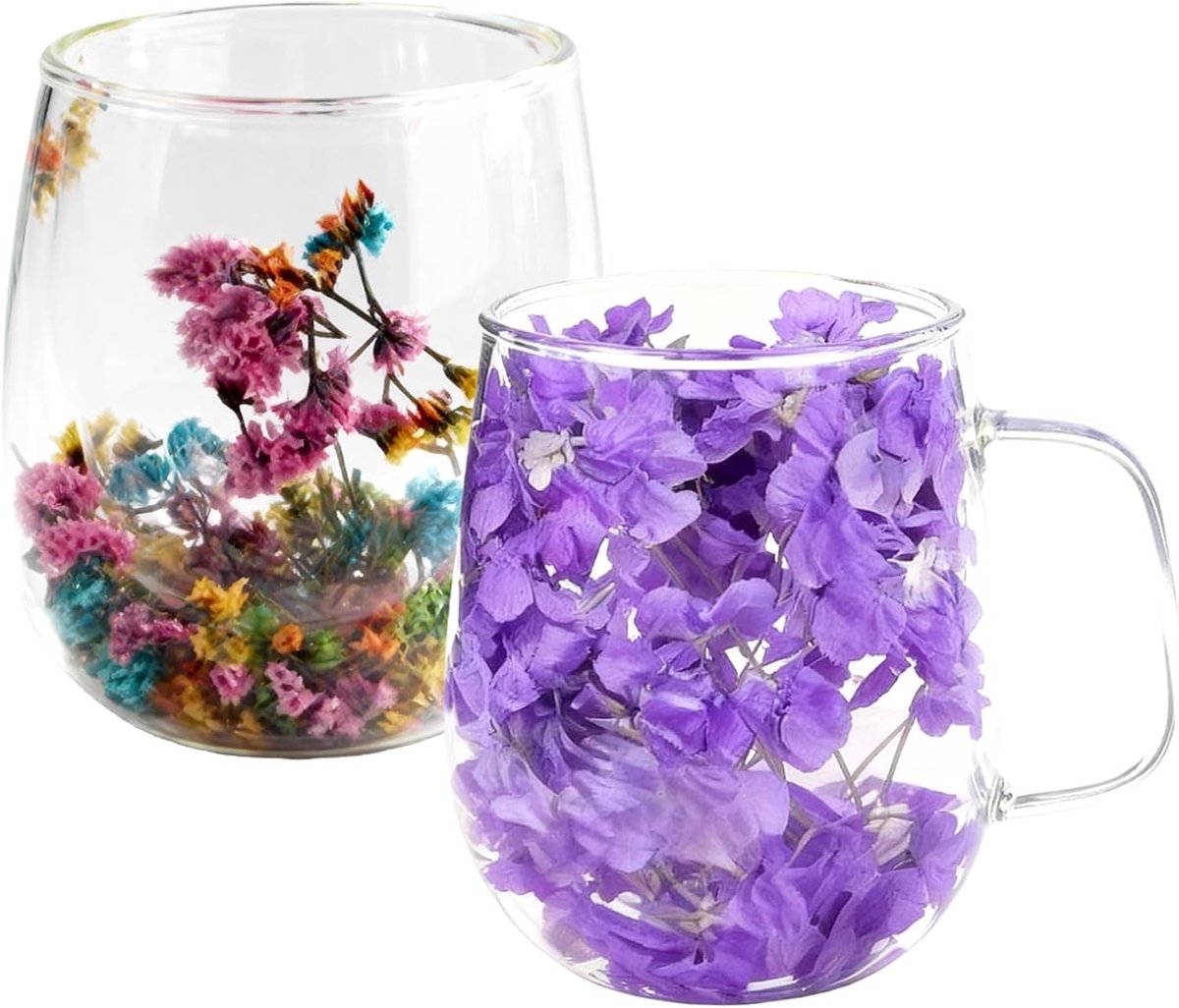 Dubbele Wand Glazen Koffiekoppen 350ml met Dried Floral Design - Isolerende en Warmtebestendige Koffiekoppen, Perfecte Cadeau-ideeën voor Vrouwen