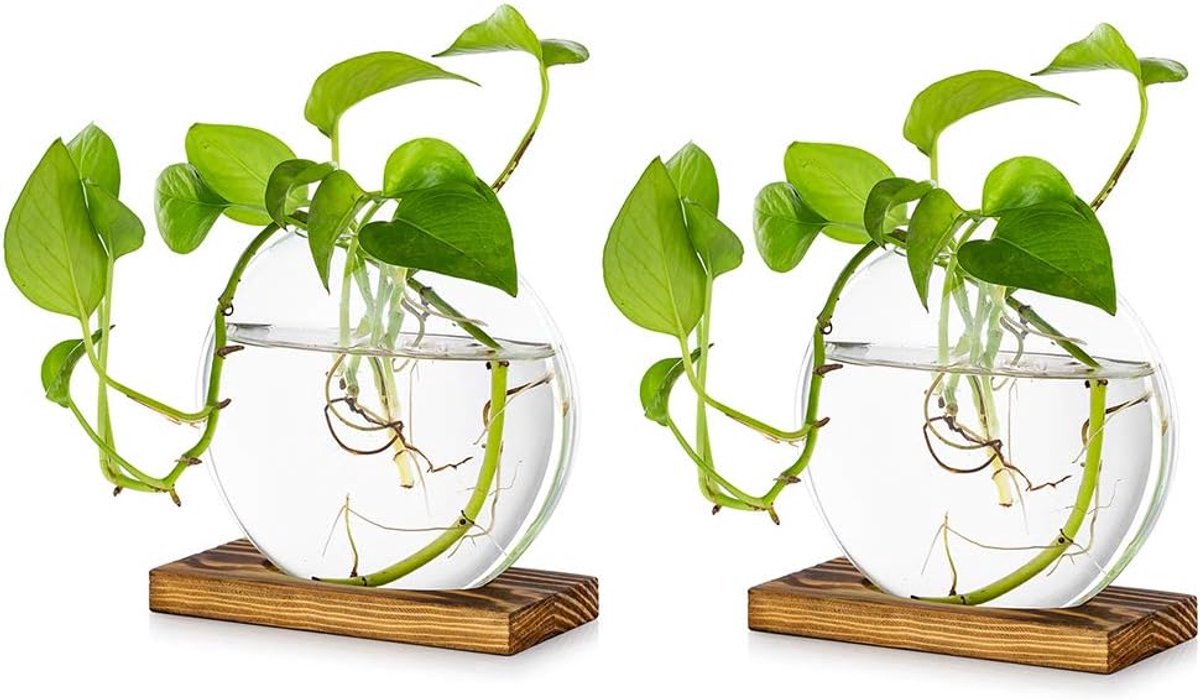 SnelShoppen - Tabletop Hanging Glass Planter Set van 2 - Moderne Bloem Bud Vaas met Houten Stand - Terrarium voor Hydroponische Planten en Snijbloemen