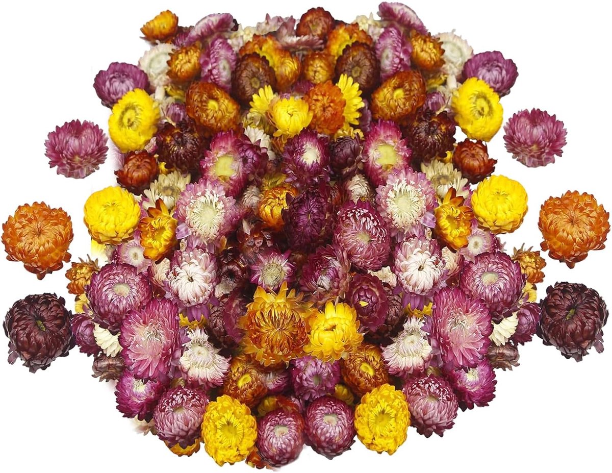 SnelShoppen - Dried Flowers Autumn Decoration - Droogbloemen voor Tafel Decoratie, DIY Projecten, Craft Materialen, Hallway Decoratie, Perfect voor Ka