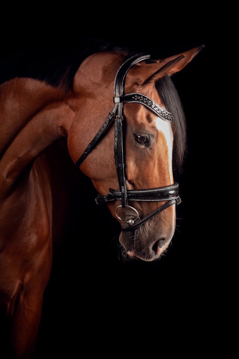 Mrs. Ros Hoofdstel Johnny Silver-Full