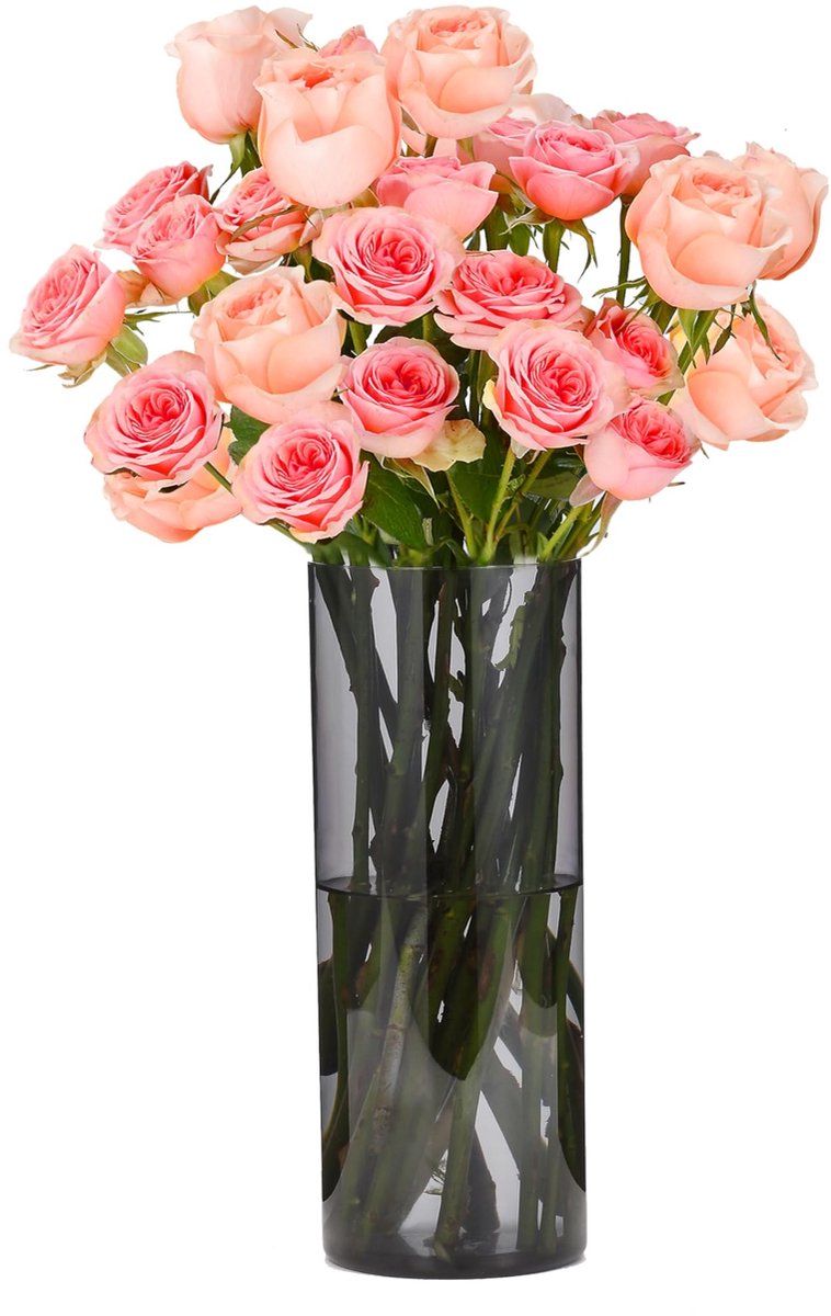 Solidchoice - Kristalheldere Grijze Acryl Vaas - Onbreekbare Lichtgewicht Cilindrische Bloemenvaas met Modern Design voor Woonkamer, Slaapkamer & Badkamer - Decoratieve Moderne Vaas - 15x40cm