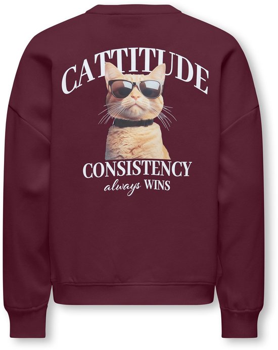 Wijnrood sweatshirt met op de rug een kat met zonnebril en de tekst 'CATTITUDE CONSISTENCY always WINS'.