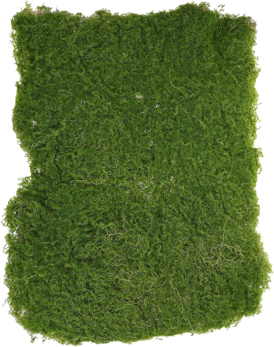Kunstgras Decoratie Mat - Nep Gras Gazon - Zandtafel Modellen - Fijne Afwerking - 60 x 40 cm - Groen