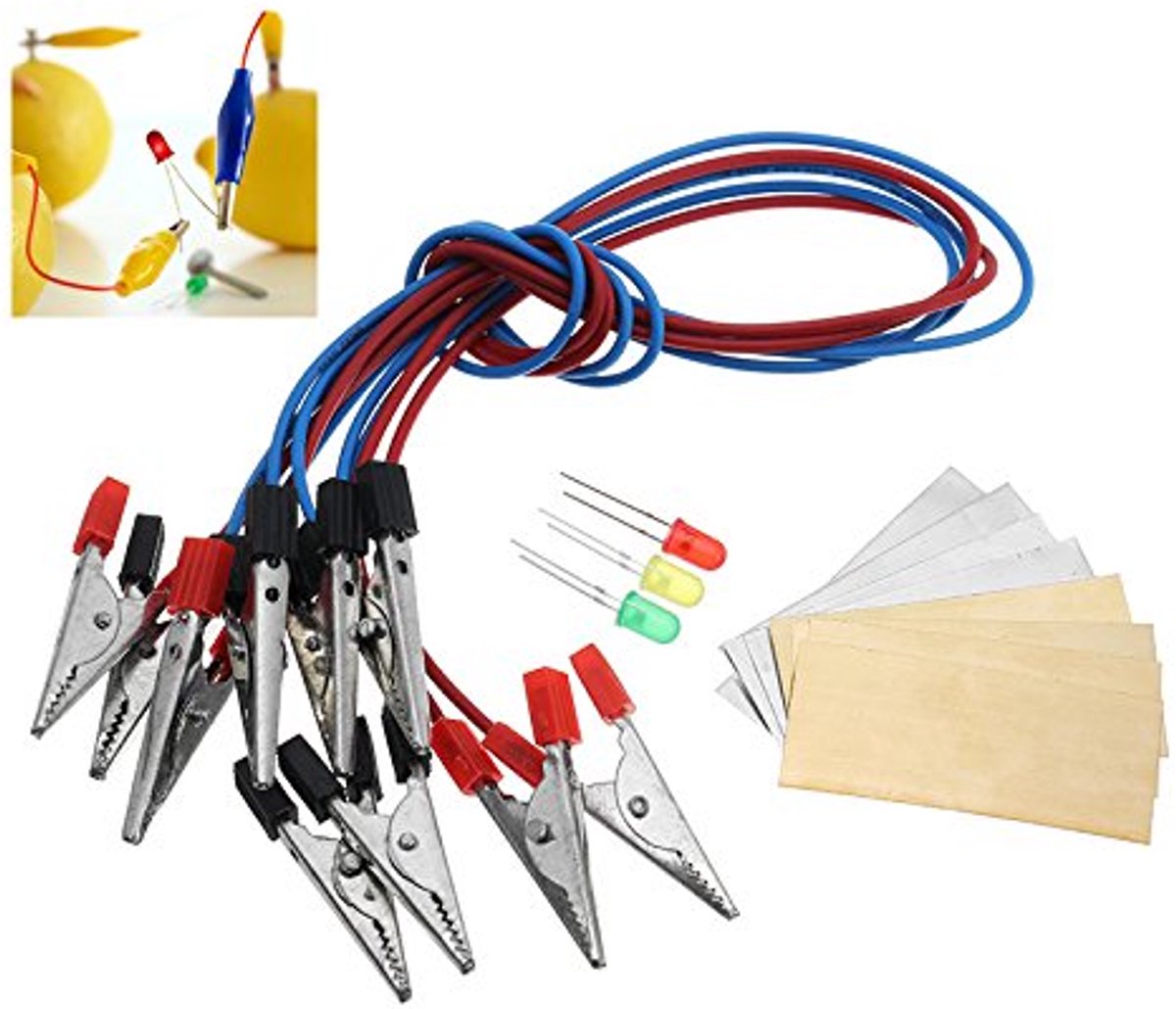 Peer batterij lichtdioden kit oranje aardappel batterij fysica leer experiment