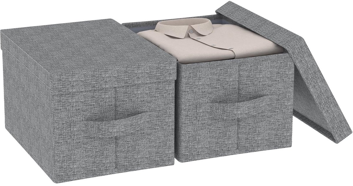 Omgoods - Opbergdozen met Deksel Set van 2, 42 x 30 x 26 cm, Grijs