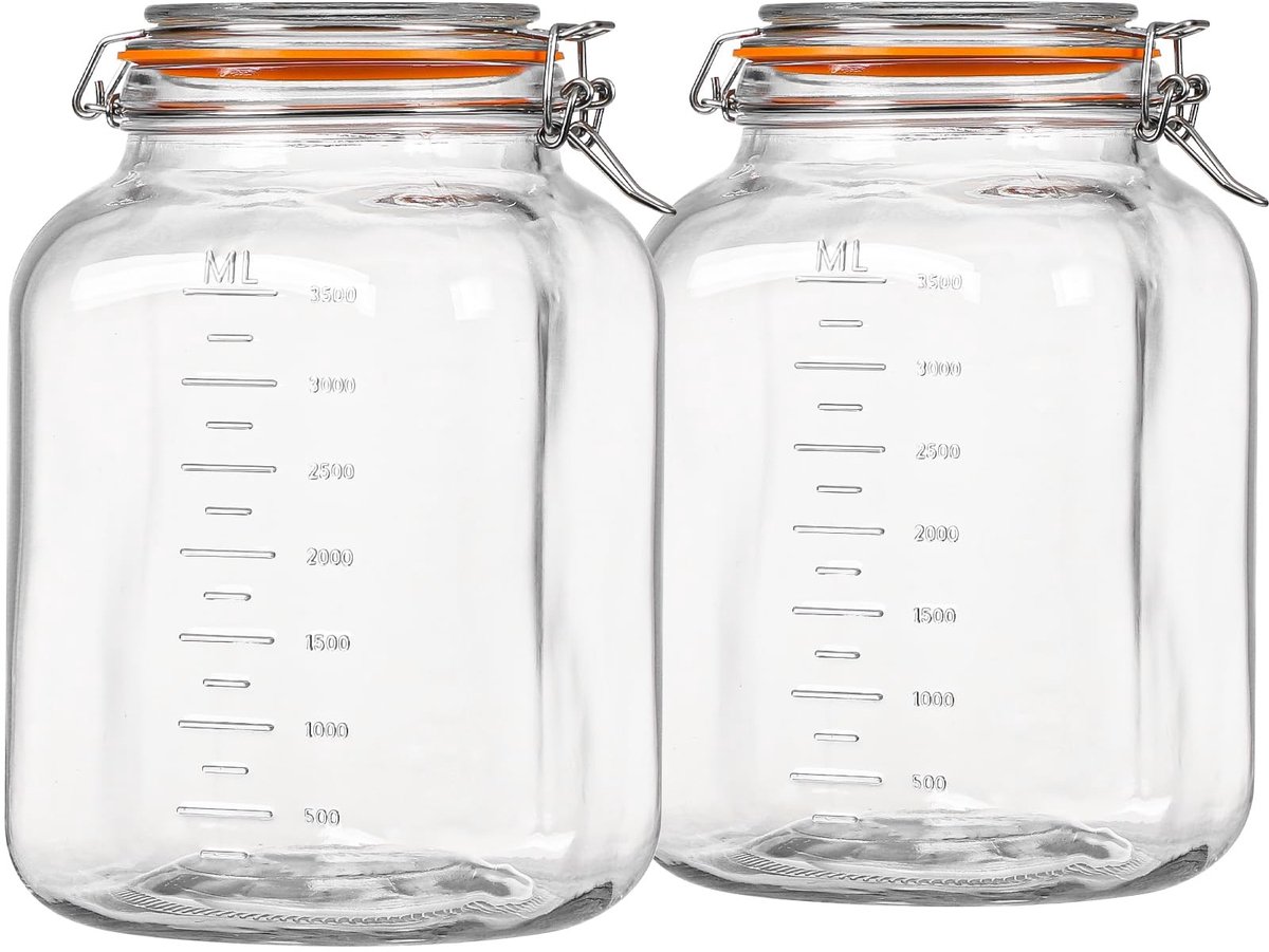 Omgoods - Set van 2 Grote Glazen Opslagpotten met Clipsluiting
