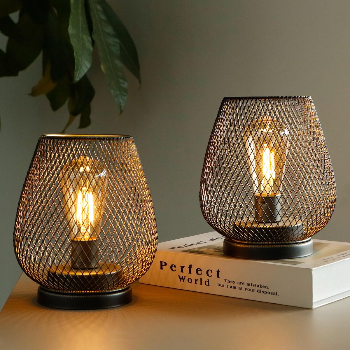 Omgoods- Tafellamp Oplaadbaar - Draadloze Lantaarn - Metaal Kooi Vorm - LED Edison Gloeilamp - Geschikt voor Binnen/Buiten - 17cm Hoog