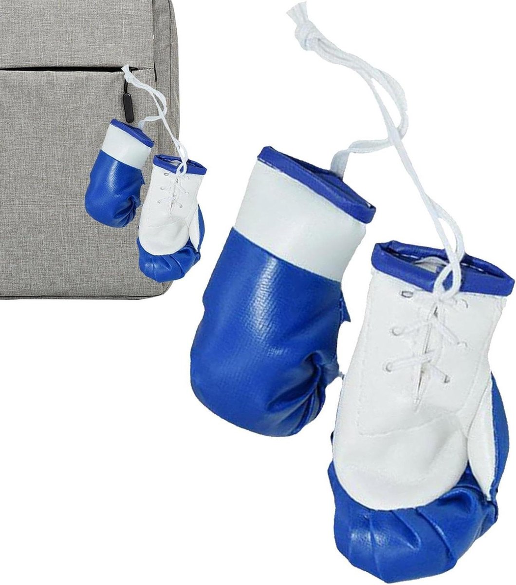 Mini Bokshandschoenen - Auto Decoratie - Auto Accessoires - Realistisch Uiterlijk - 10x6cm - Blauw en wit