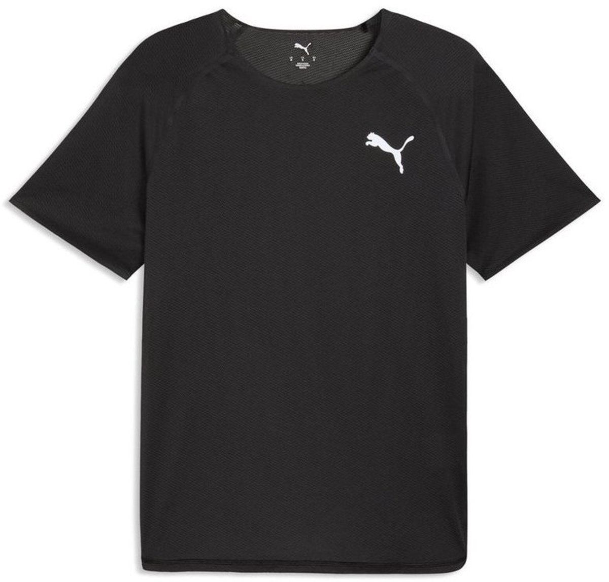 Puma T-shirt M Lightspeed SS 528419
