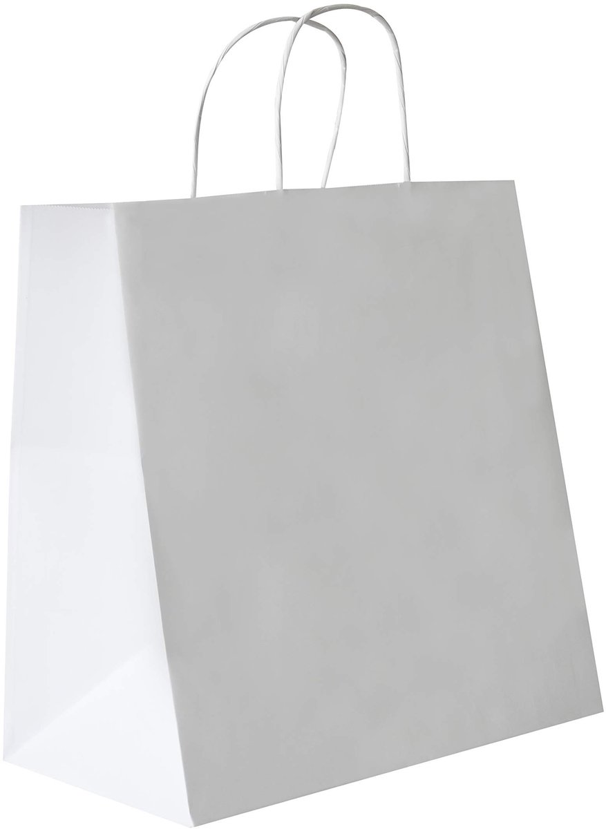 Omgoods - Set van 50 Witte Papier Tas met Draaigreep en Vierkante Bodem