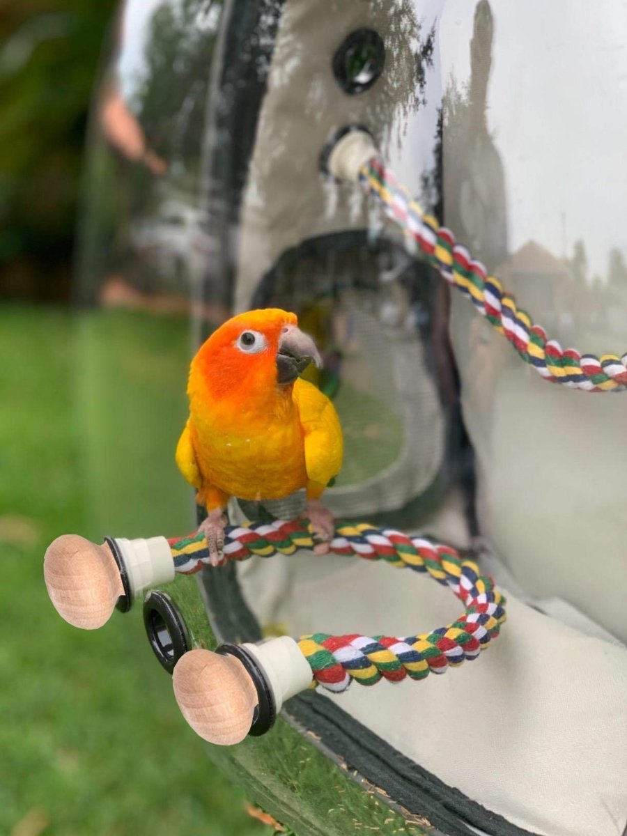 Vogeldrager rugzak - Bubble Bird Reisdrager - RVS tray en voederbak - Ideaal voor onderweg - ShopVlot