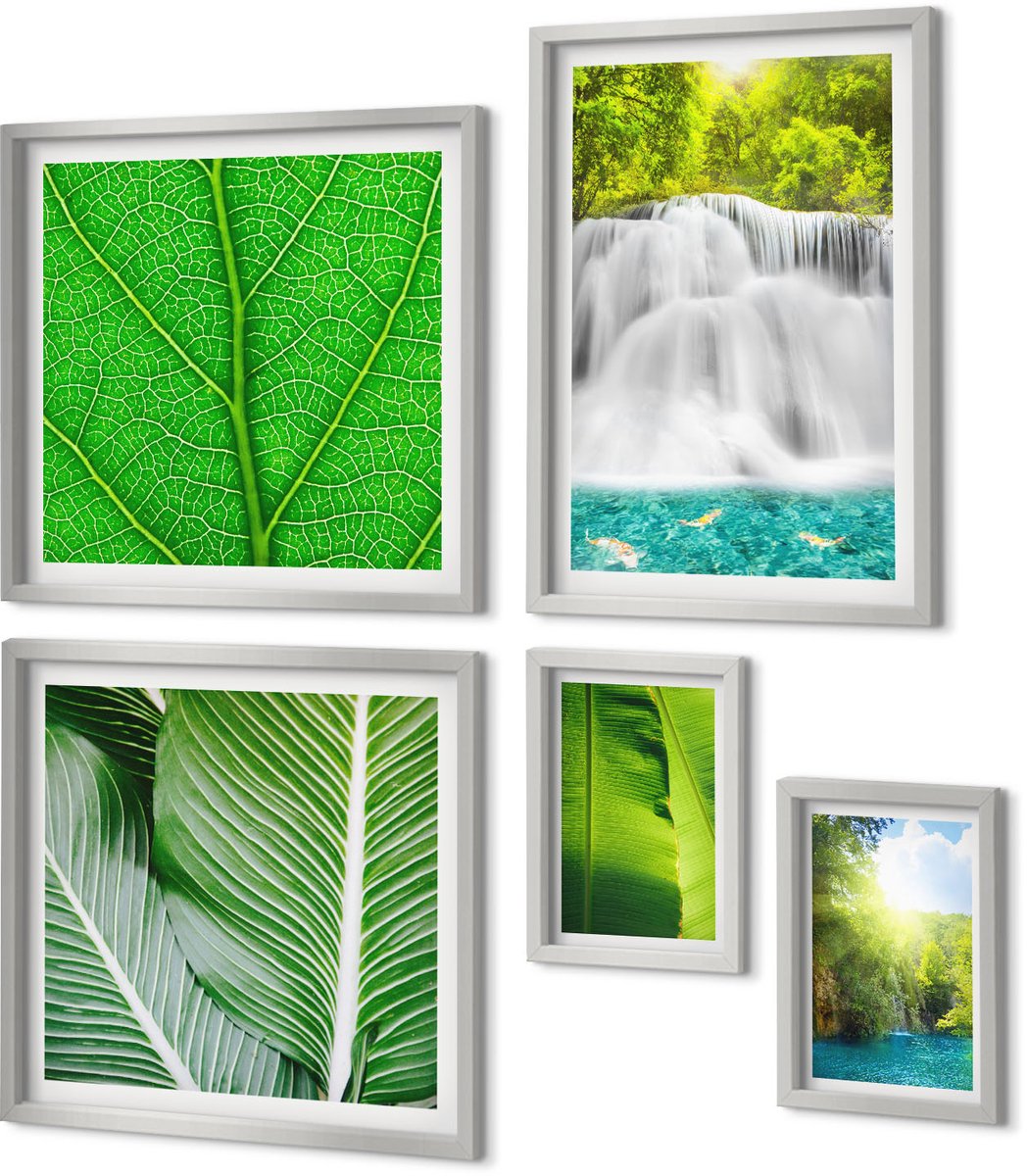Coloray 5-Delige Schilderij Set - Close-Ups Van Tropische Bladeren - 20 x 30 cm - Stijlvolle Wanddecoratie - Interieur